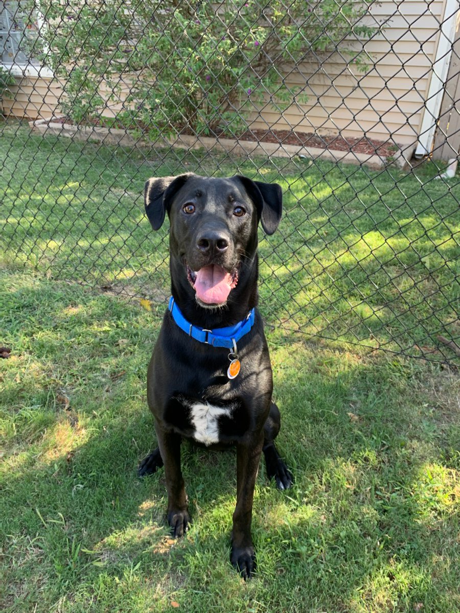 CarlosMayCrossing tweet media