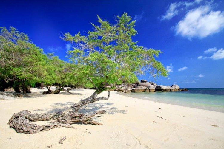 gogonesia's tweet photo. Bangka Belitung terdiri dari dua pulau besar yaitu Pulau Bangka dan Pulau Belitung, dahulu pulau ini pernah menjadi daerah jajahan Inggris dan hingga kini menjadi salah satu wisata objek yang eksotis
https://t.co/T9x2ZQLlWq

#bangkabelitung #bangka #belitung https://t.co/FToGgAl7c9