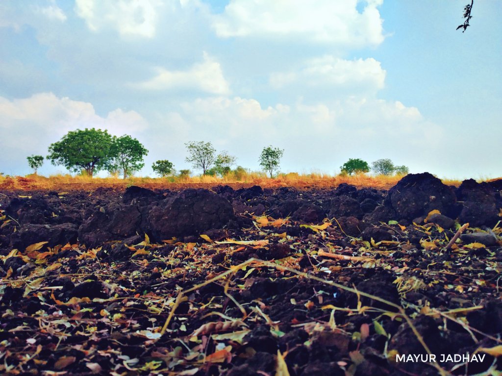 MayurGJadhav24's tweet photo. @faijalkhantroll #MyBestFarmClick https://t.co/bVoBH6IijZ