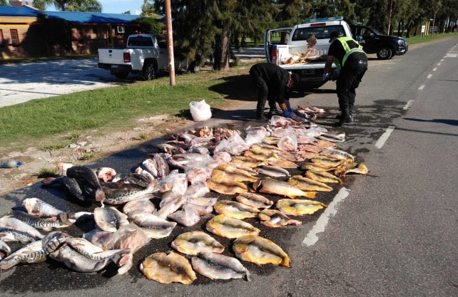 AmelieGranata's tweet photo. Frente a la grave situación que se está dando en toda la cuenca del Río Paraná que baña la costa Este santafesina, solicito a @omarperotti  que informe qué medidas está tomando para evitar la pesca indiscriminada. El Gobernador debe evitar que esta depredación continúe. https://t.co/tTtKF2BH27