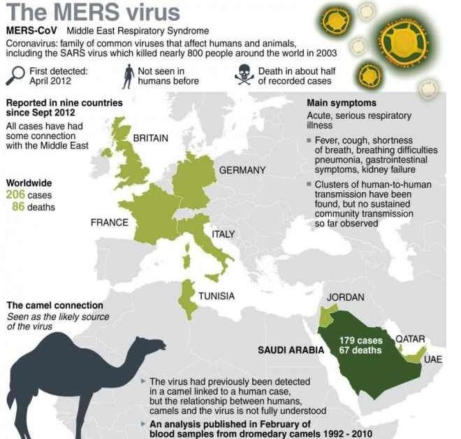 en 2012 aparece el MERS (MERS-CoV) la causa del síndrome respiratorio de Oriente Medio (MERS), mató a más de 800 personas y es el segundo coronavirus que salta desde el reservorio animal (camello) al humano