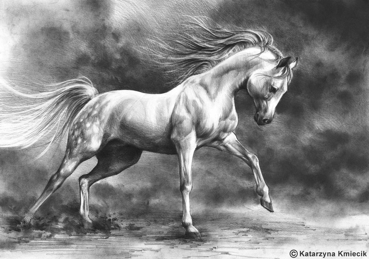 Pencil #drawing (+ a bit of graphite powder for the background) of the  running white horse - A3, 2017, SOLD. Art prints of this beautiful #horse  can be found here: https://t.co/EHtnFzOIb7, image size:1200x842