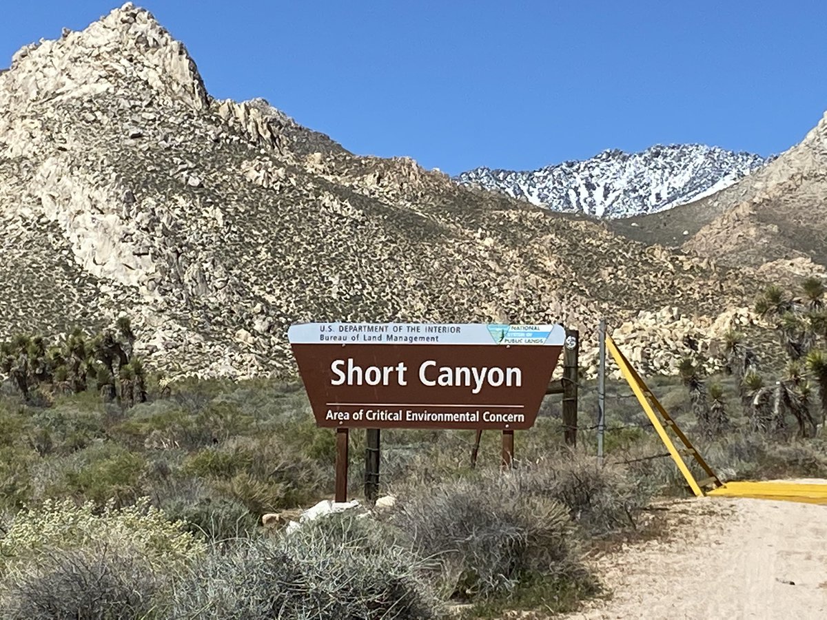 sillimantics's tweet photo. RZR ride today to Sand and Short Canyons. #sillimantics #rzrturbo #rzr #polaris https://t.co/6Jbw0REXHR