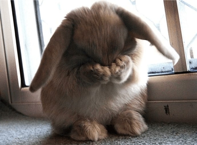 thelaceylondon's tweet photo. In six words or fewer, write a story about this photo...  

#amwriting #sixwordstory https://t.co/6ygiHhRs24