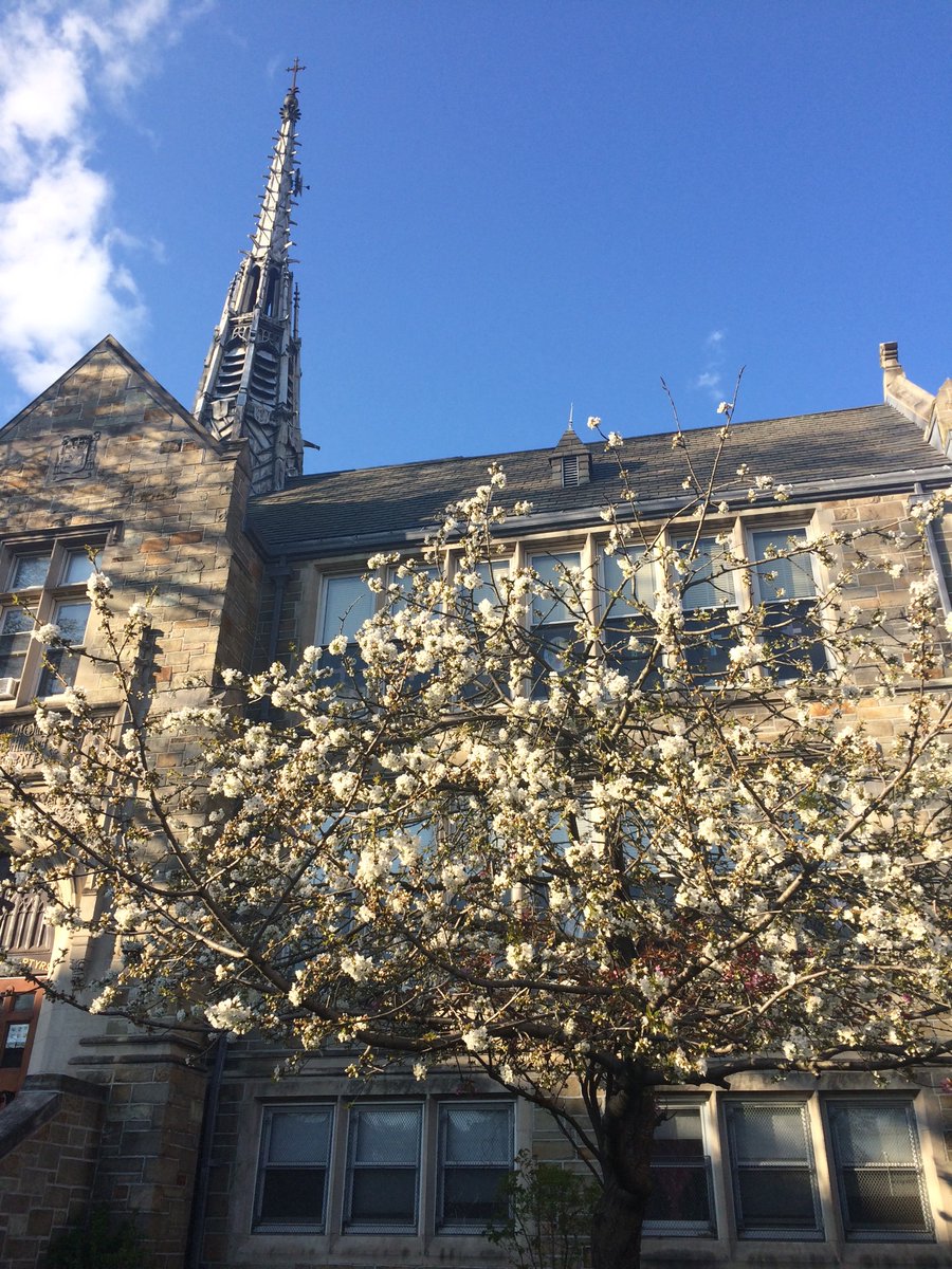 GinainNY's tweet photo. #HolySaturday2020
#OLQM https://t.co/qIdMh31Giu