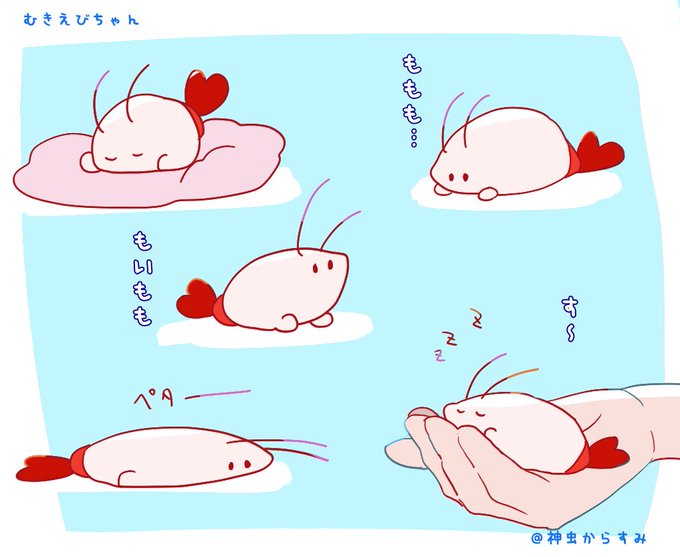 やせいのむきえびちゃん 