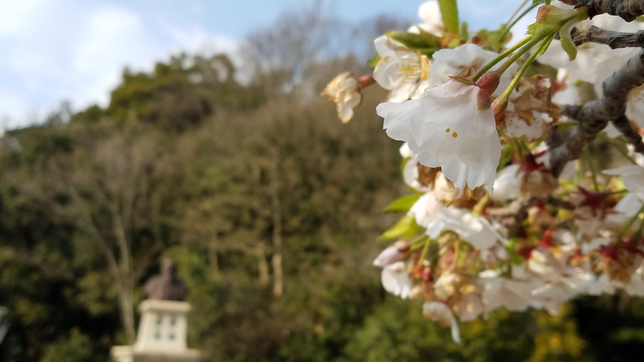 小脇公園 Twitter Search Twitter