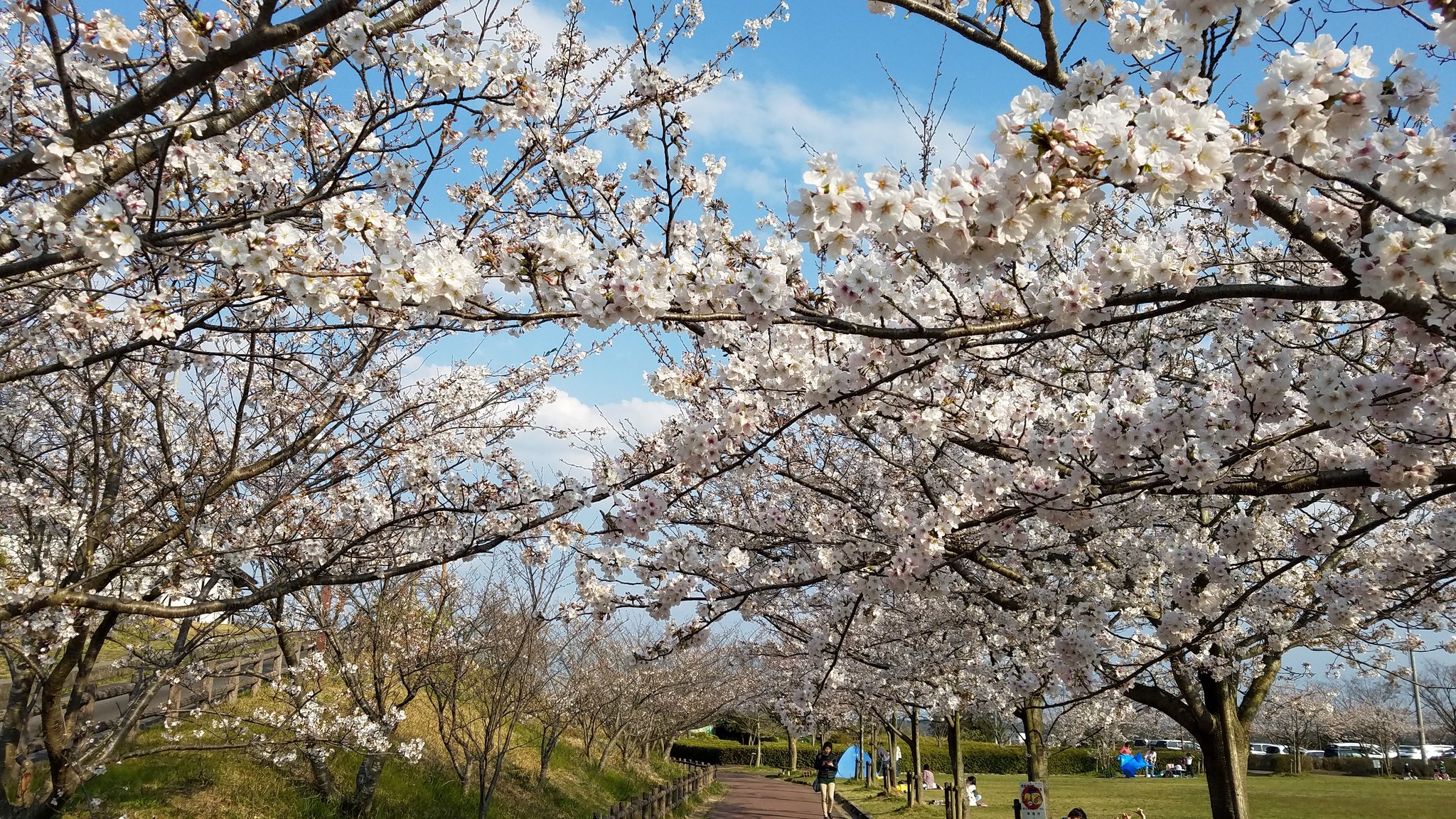 小脇公園 Twitter Search Twitter