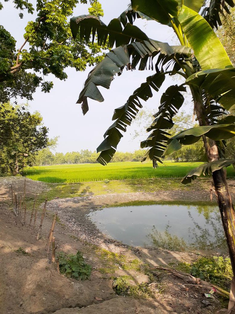 বাংলার রুপ দেখেছি আমি..তাই পৃথিবীর রুপ খুজি না