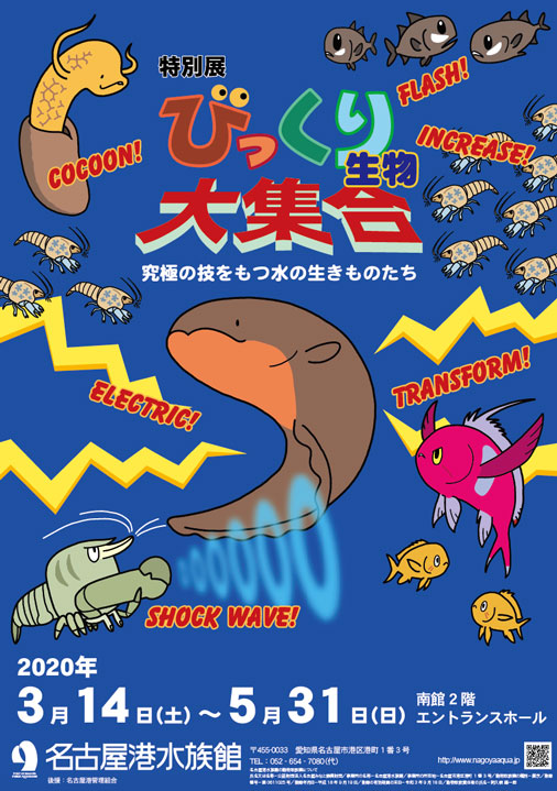 名古屋港水族館の臨時休館が5月11日まで延長となりました。今後の予定などは公式サイトで随時更新されます。 
https://t.co/Q70EB8MGuj 