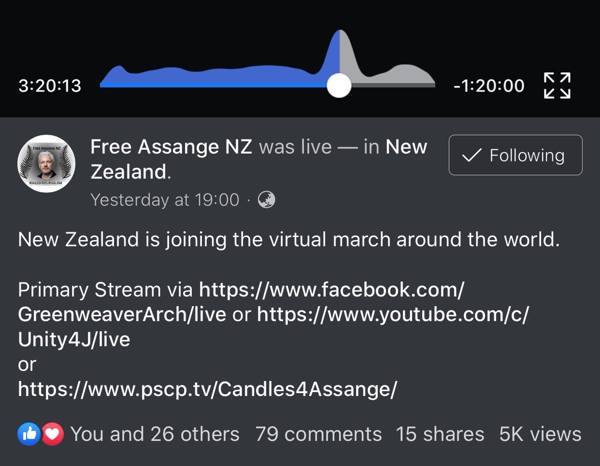 InternetPartyNZ's tweet photo. Great to see #InternetPartyPeople showing solidarity and marching virtually yesterday in support of #EvacuateAssange 

#IPnz’s @TheGeekJo and @GreenweaverArch with other supporters streamed the march live to 5K+ viewers via #FreeAssange NZ and #Candles4Assange https://t.co/vevoBTo2Ci