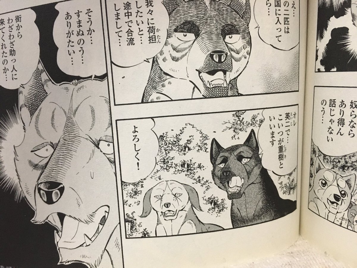に塩か 令和銀牙アンソロ5 2通販開始 در توییتر 銀牙四代読み直し中 また新しい誤植を発見してしまった くそ書籍 銀牙マラソンで英治で検索して出なかったので 描いた記憶あるのに 不安になってちゃんと単行本調べてたら漢字違いが浮き彫りに