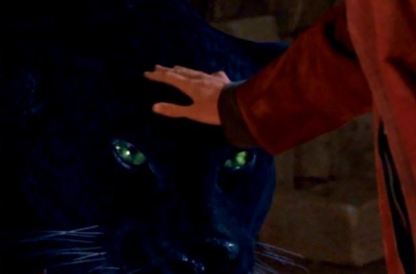 freya even let's merlin come close and pet her bastet form, because she feels safe with him and would never hurt him in any way, shape or form. i love love.