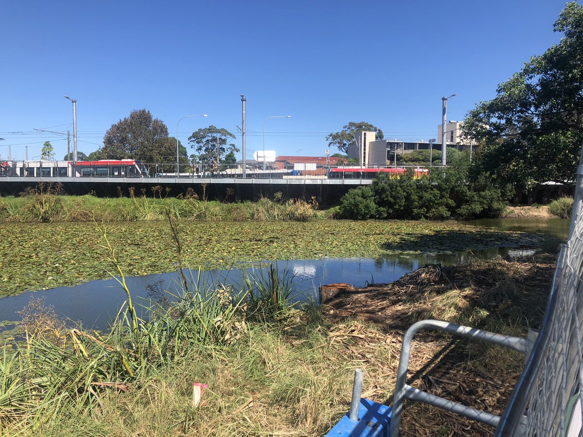 PhilipThalis's tweet photo. Hey @TfNSW, why is key @CentParklands pedestrian connection to light rail & Kensington beyond only being started now-many morning mths after #eslr opened, & years after pedestrian bridge closed?
It had better be a good design, as essential for @walksydney1 & @BIKESydney https://t.co/DCqEt1jWEV