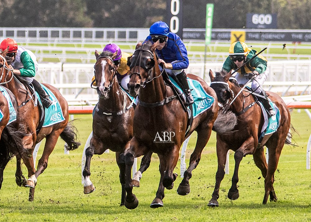 ashbrennanphoto's tweet image. Enjoy retirement #HappyClapper!