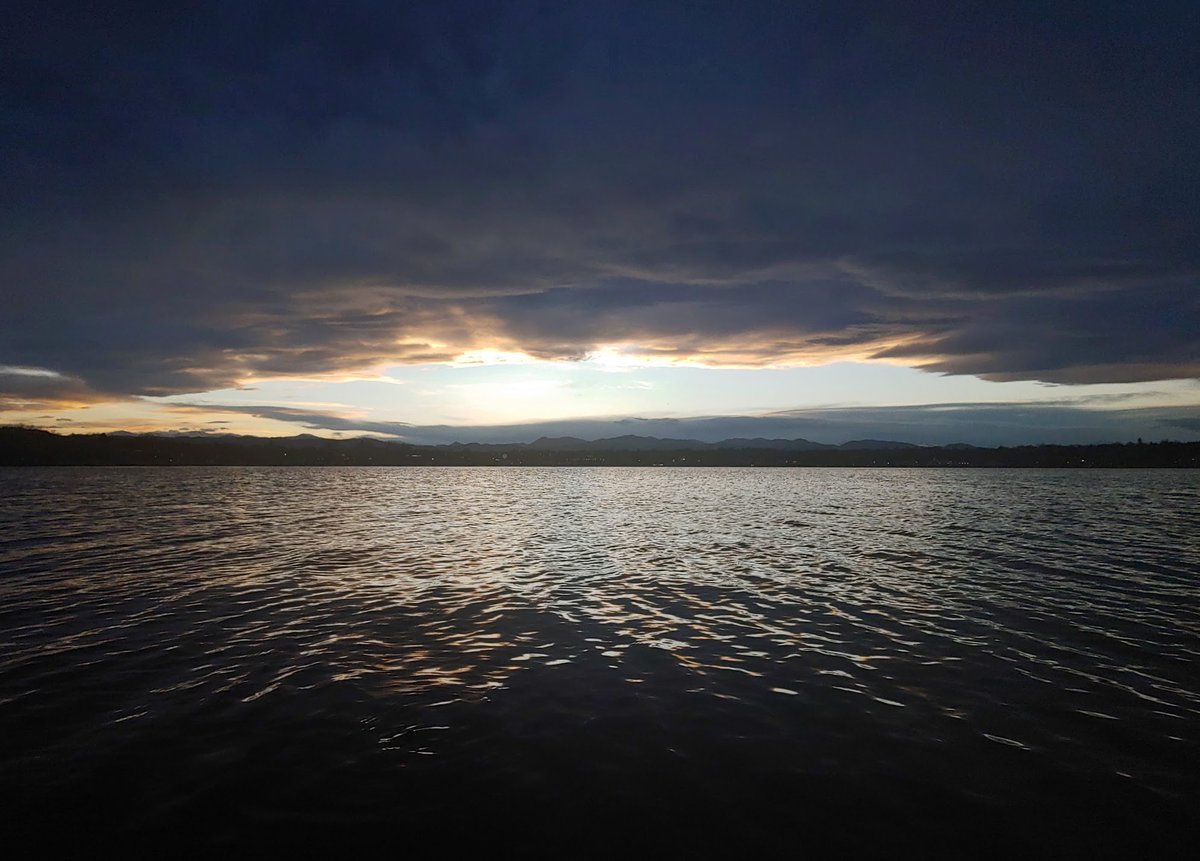 A glowering Rorschach sunset, and a happy muskrat. I think that's a muskrat. Correct me if I'm wrong.