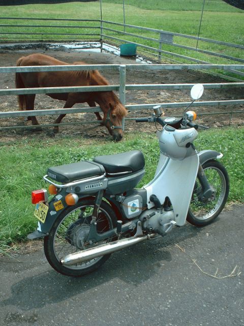 でかやま En Twitter ビジネスバイクと言えば ホンダスーパーカブですが ヤマハのメイトもまたいいものですよ ビジネスバイク ヤマハメイト