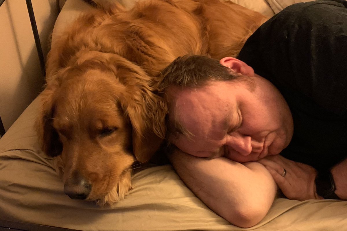 Gus_FTW's tweet photo. Dad and his big red pillow #goldenretriever #dogsoftwitter https://t.co/75CzM6Qhg1