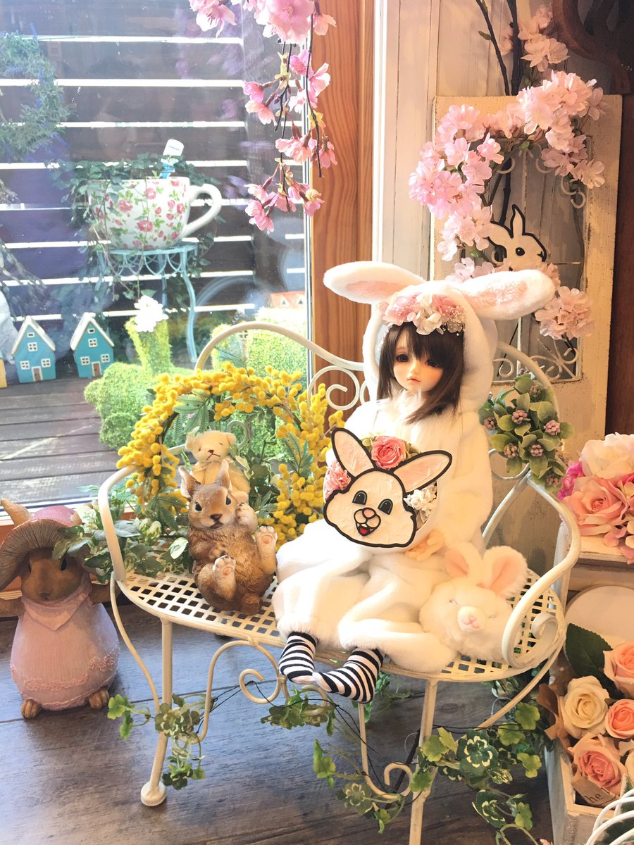 公式 動物のお花屋さんマイペリドット マイペリドットカフェ على تويتر 今日は イースター ですね 萌ちゃんが持ってるのは うさぎの伊藤さん マイペリドットカフェは4月8日から5月15日までカフェ営業のみ お休みになります お花屋さんはネット販売のみで 公式 動物のお花屋さんマイペリドット マイペリドットカフェ على تويتر 今日は イースター ですね 萌ちゃんが持ってるのは うさぎの伊藤さん マイペリドットカフェは4月8日から5月15日までカフェ営業のみ お休みになります お花屋さんはネット販売のみで