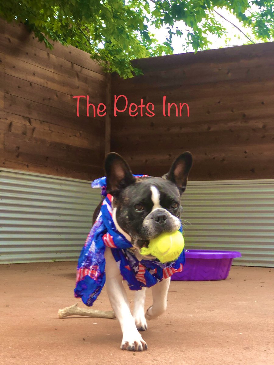 ThePetsInnSA's tweet photo. https://t.co/WpXaSSwkOa