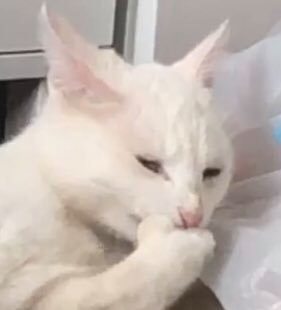 || I spent 3 hours trying to make one edit on  FF7 Remake I want d*****