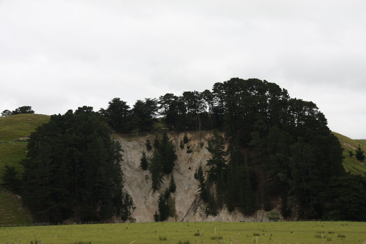 I spotted these cliffs inland of Herbertville, I think close to Weber on route 52 (an ex-state highway that lost its designation). Not sure if any might be from earthquakes or landslides? I'm no seismologist or geologist. Anyway, this is a tangent, back to the beach!