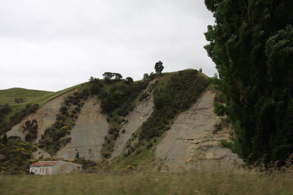 I spotted these cliffs inland of Herbertville, I think close to Weber on route 52 (an ex-state highway that lost its designation). Not sure if any might be from earthquakes or landslides? I'm no seismologist or geologist. Anyway, this is a tangent, back to the beach!