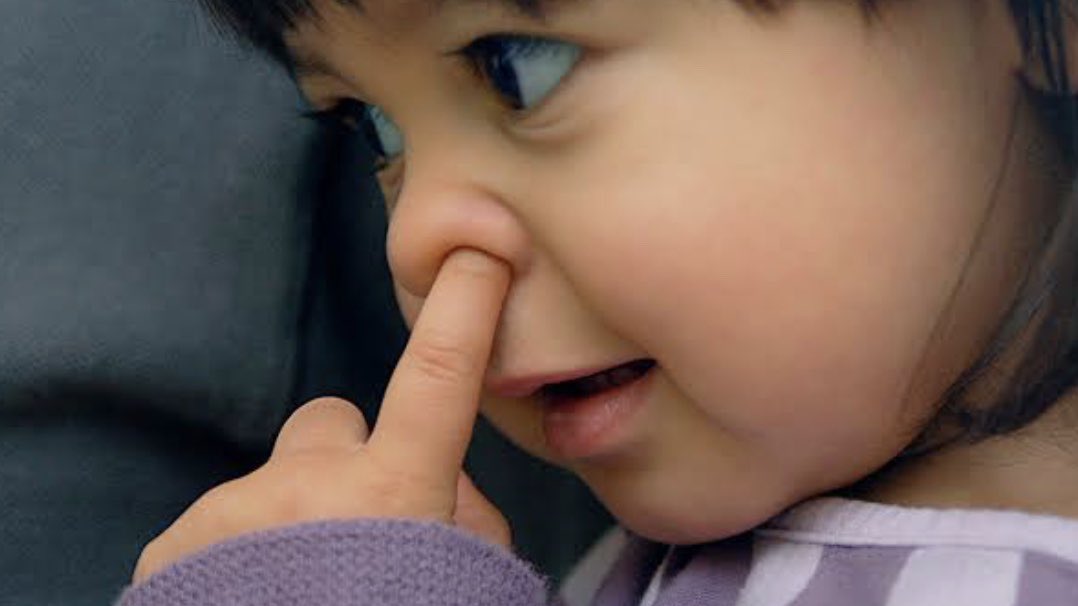 鼻ほじり Twitter Search Twitter