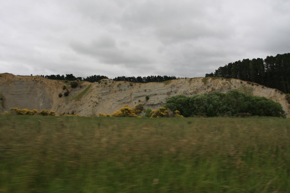 I spotted these cliffs inland of Herbertville, I think close to Weber on route 52 (an ex-state highway that lost its designation). Not sure if any might be from earthquakes or landslides? I& #39;m no seismologist or geologist. Anyway, this is a tangent, back to the beach!