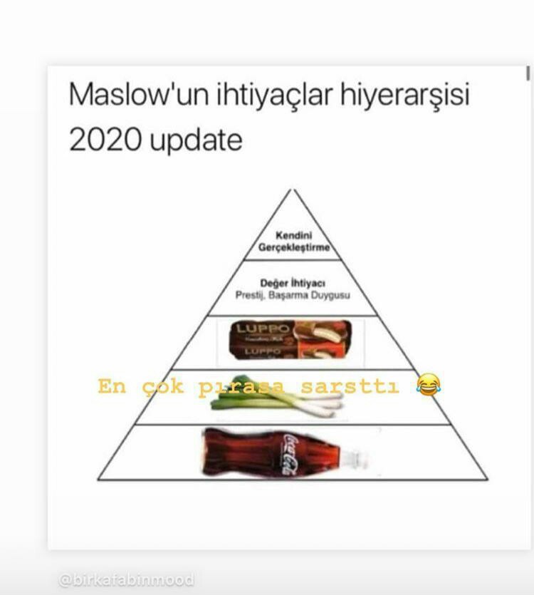 Panik insanoğluna herşeyi yaptırıyor.