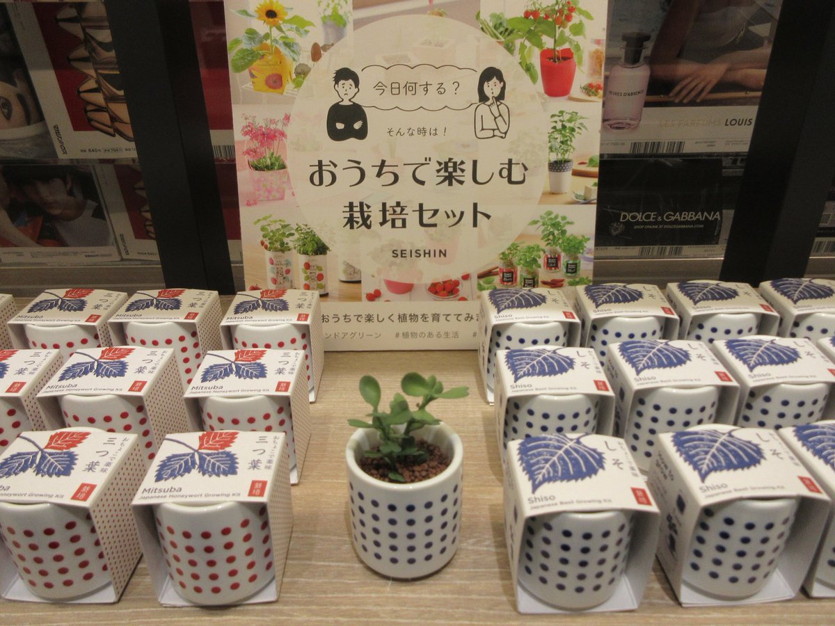 大垣書店 京都本店 Ar Twitter 催 出張hal 現在 おうちで楽しむ栽培キット を取り扱い中です おちょこで薬味を育てたり お好みのフレーバーを育てたりできるキットなどを取り揃えております おちょこは薬味が育った後に洗って 一杯 もいいなと育つ前から 大垣書店 京都本店 Ar Twitter 催 出張hal 現在 おうちで楽しむ栽培キット を取り扱い中です おちょこで薬味を育てたり お好みのフレーバーを育てたりできるキットなどを取り揃えております おちょこは薬味が育った後に洗って 一杯 もいいなと育つ前から