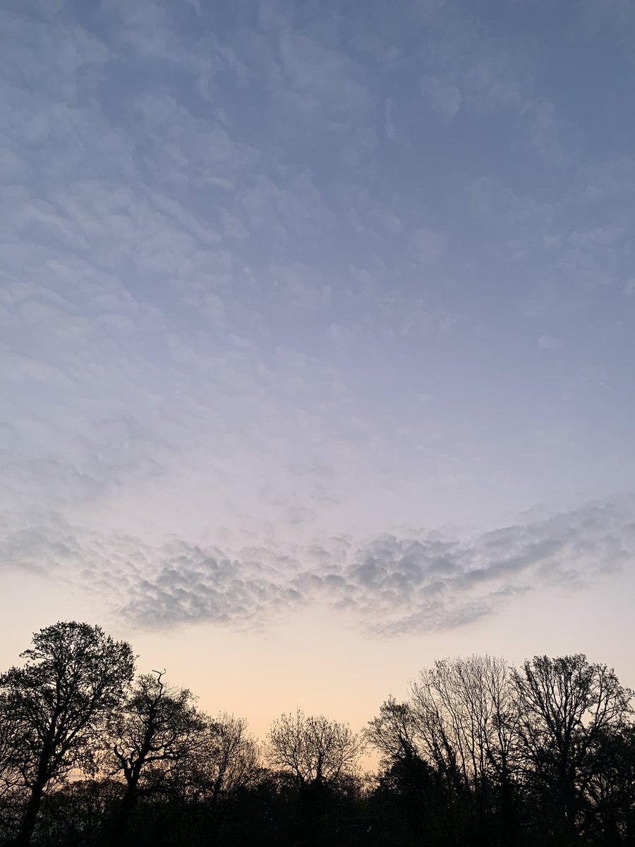 Vikki Eames tweet media