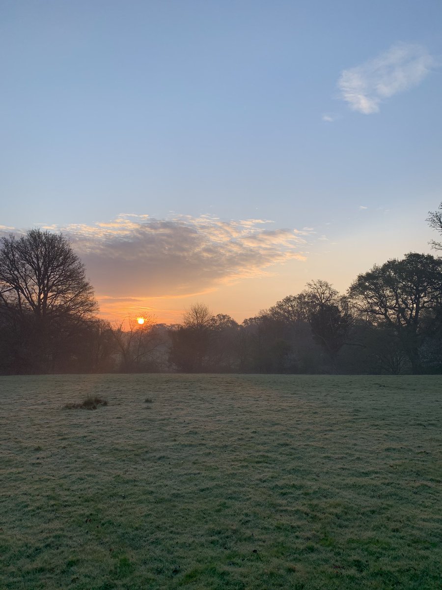 Vikki Eames tweet media