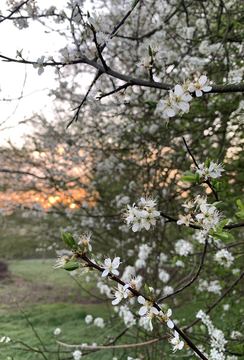 Vikki Eames tweet media