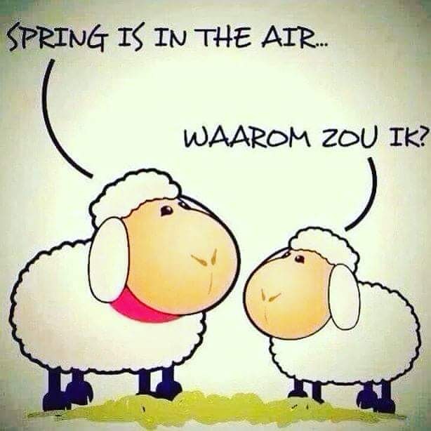 Make there a beautiful Sunday from! #MTTCW #Pasen #Lente