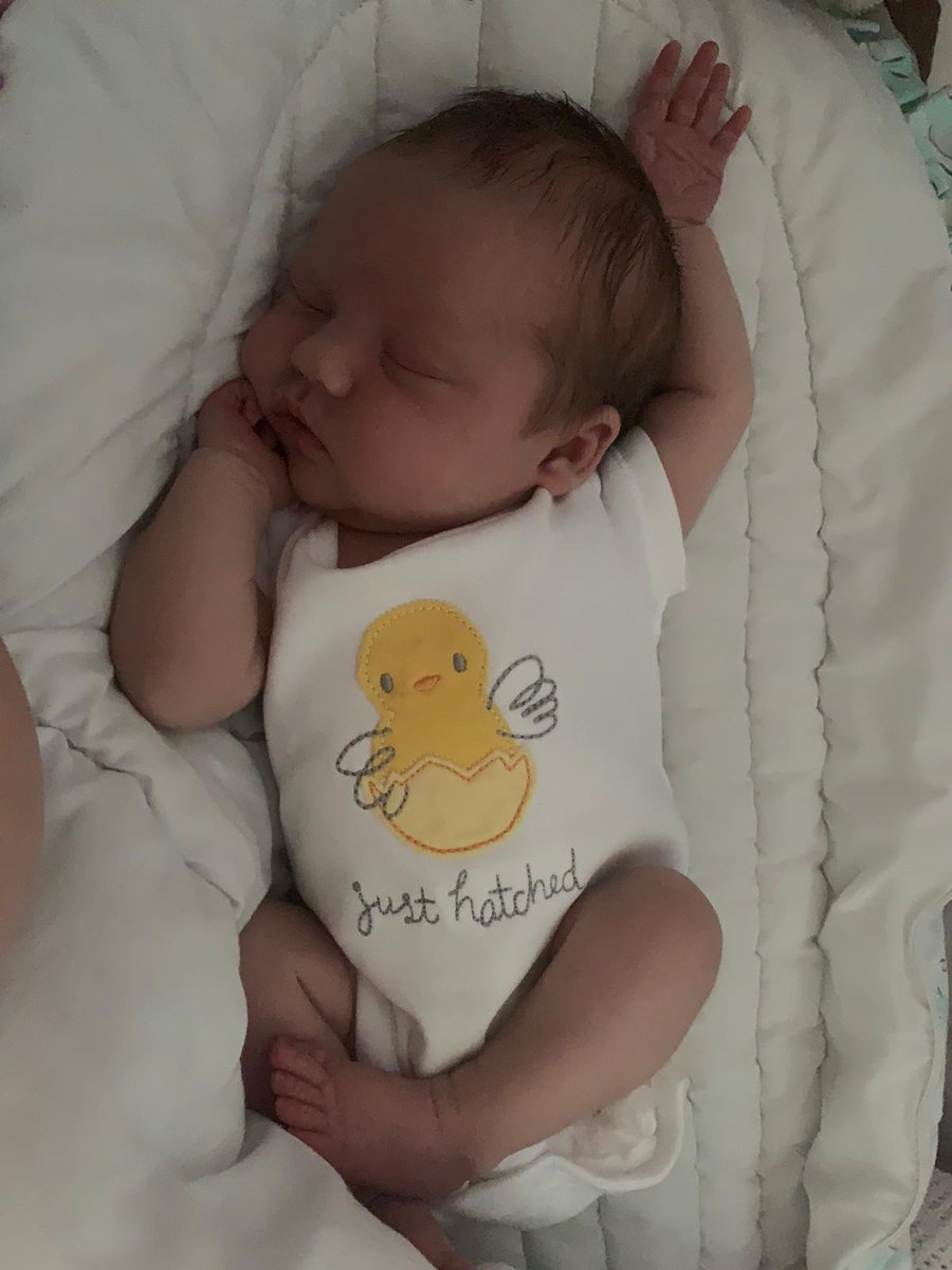 SSDentalService's tweet photo. Can anyone beat this Easter post ? the gorgoeus new addition to the family is ready for Easter. Happy Easter to you all, have a wonderful day SSD Dental Services SS Dental Marketing #SSDQuality #Easter #Plymouth #Devon #Southwest https://t.co/rU2nZkLI3A