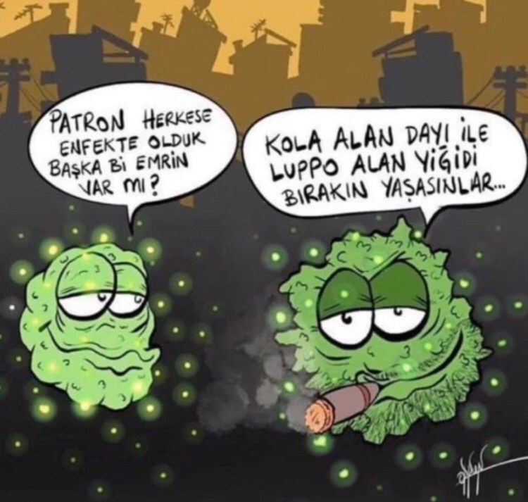 SEVDANUR (@3sevdanur) on Twitter photo 
