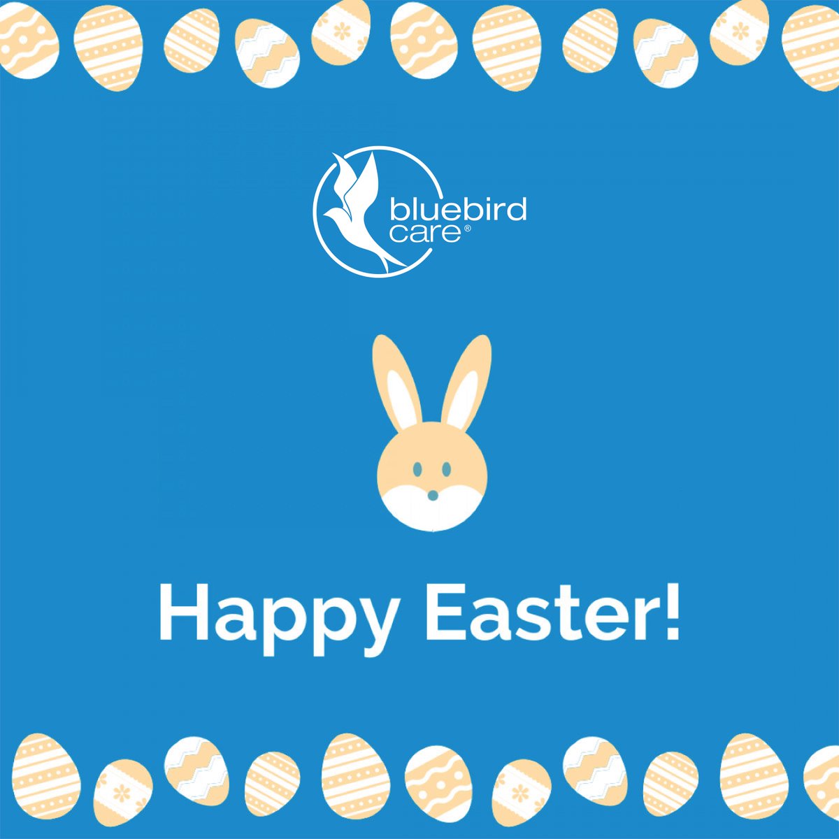BluebirdCareAS's tweet image. We're wishing a very Happy Easter to all our staff, customers, friends and family! 💙

We hope you're enjoying a sunny Easter weekend at home! 🐣🐰 #StayHomeSaveLives #EasterAtHome