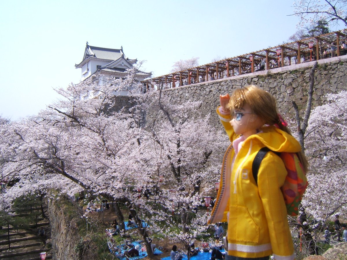 Dr Rex A Twitter 津山城 鶴山公園 の桜 京都 円山公園の枝垂れ桜 祇園しだれ 岐阜県本巣市 薄墨公園の 薄墨桜 大阪 造幣局通り抜けの桜 今年は花見に行けなかった コロナの馬鹿野郎 来年は花見したいね