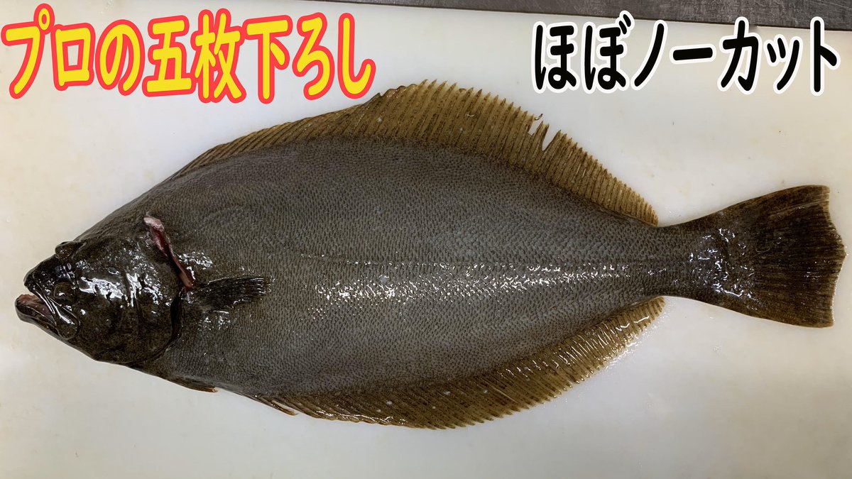 魚の捌き方