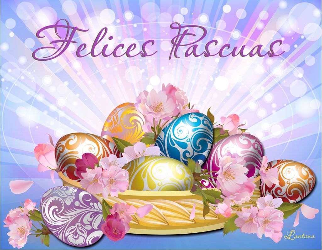 Buen dia, Felices Pascuas <a href="/Facundo_Arana/">Facundo</a> y todas las #FACUNDITAS del mundo que la festejan hoy🙏🌺🥰💋Доброе утро, с праздником! 🌞🌹🙏❤️Abrazos 😘😘😘😘😘😘😘💖