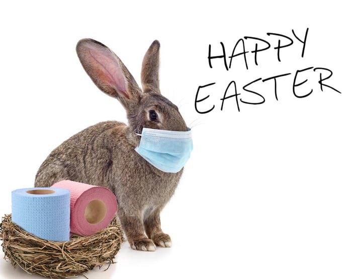 thorsto's tweet image. Wünsche euch ein schönes Osterfest und bleibt gesund 🐣☀️

#Ostern #HappyEaster
