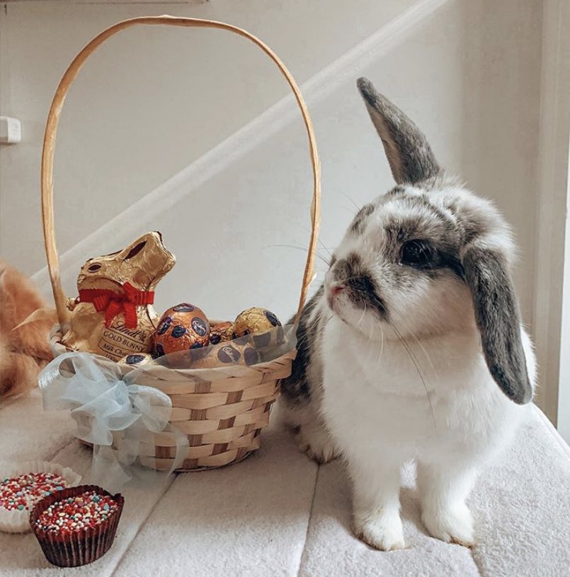 Hoppy Easter!   Send us your Easter Buns throughout the day to be featured  Instagram/hopsnruby