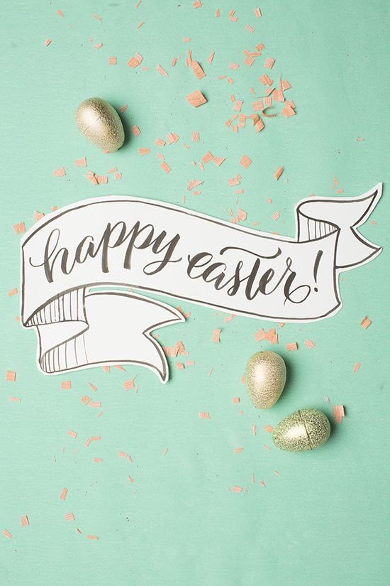 JHaroldN5's tweet photo. 🐣😊 https://t.co/dMHEGEWWE8