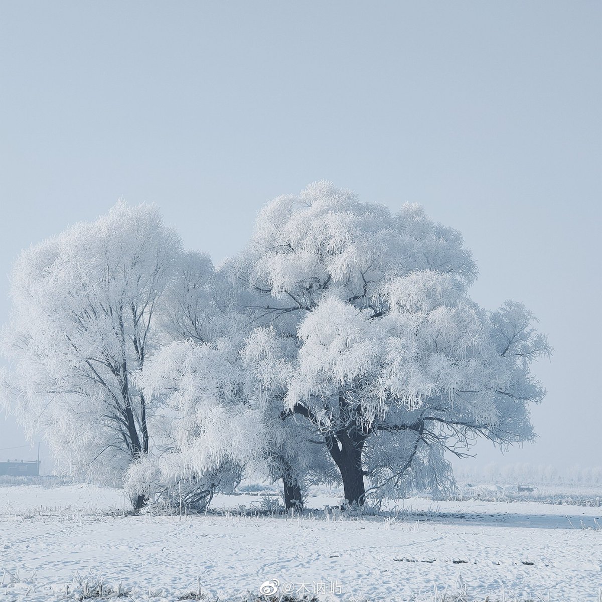 hanmine7's tweet photo. #China
This is the beauty of winter in China. https://t.co/VsYiUzQRlx