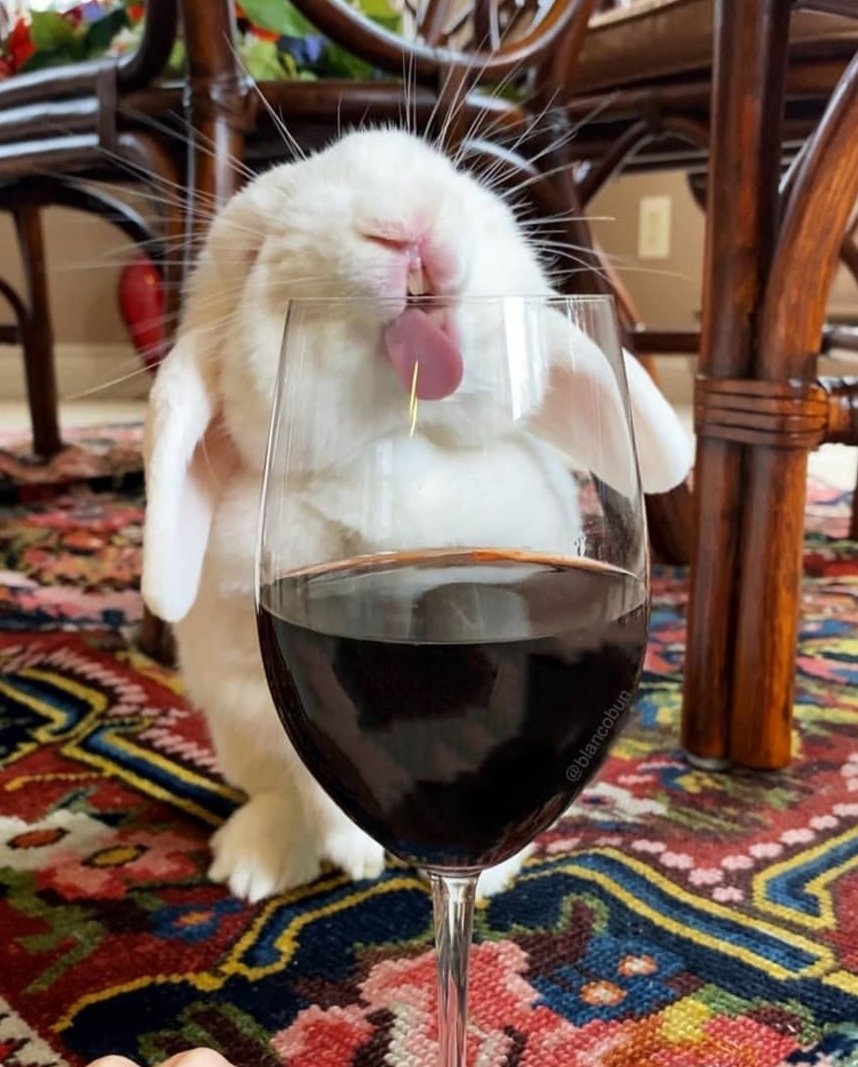 Happy Easter Bunny Drinking