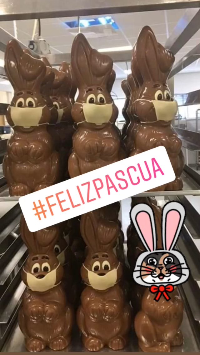 consultadelgato's tweet photo. Feliz Pascua 🐰🐰 Happy Easter 🐰🐰 joyeuses Pâques 👉🏼 recuerden NO compartir los chocolates con sus mascotas 😬 https://t.co/OF0cQuCkZf