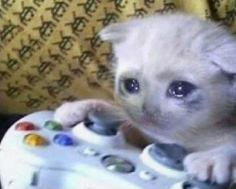 daddyhardt's tweet image. 