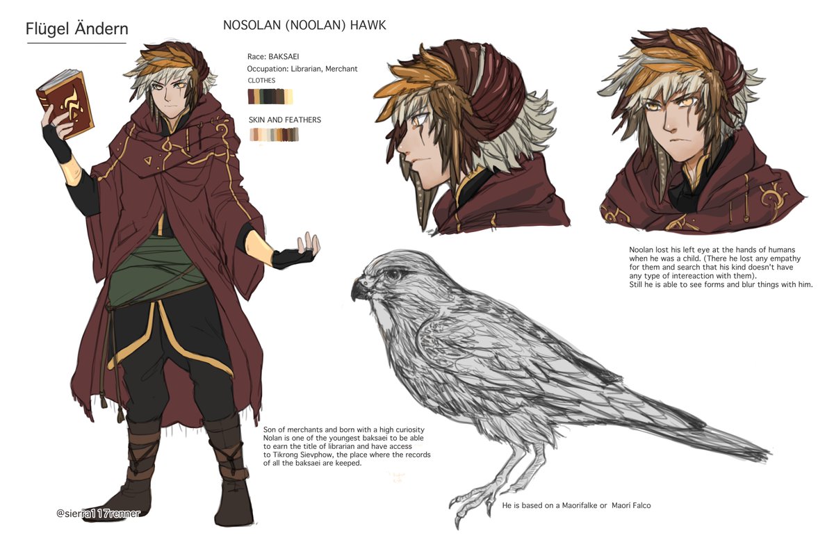 For fun -and release stress- ✨ and for a side project I hope to be able to write ?? The character sheet of one of my characters and my main protagonist. Nolan Hawk ? #originalcharacter #birds 