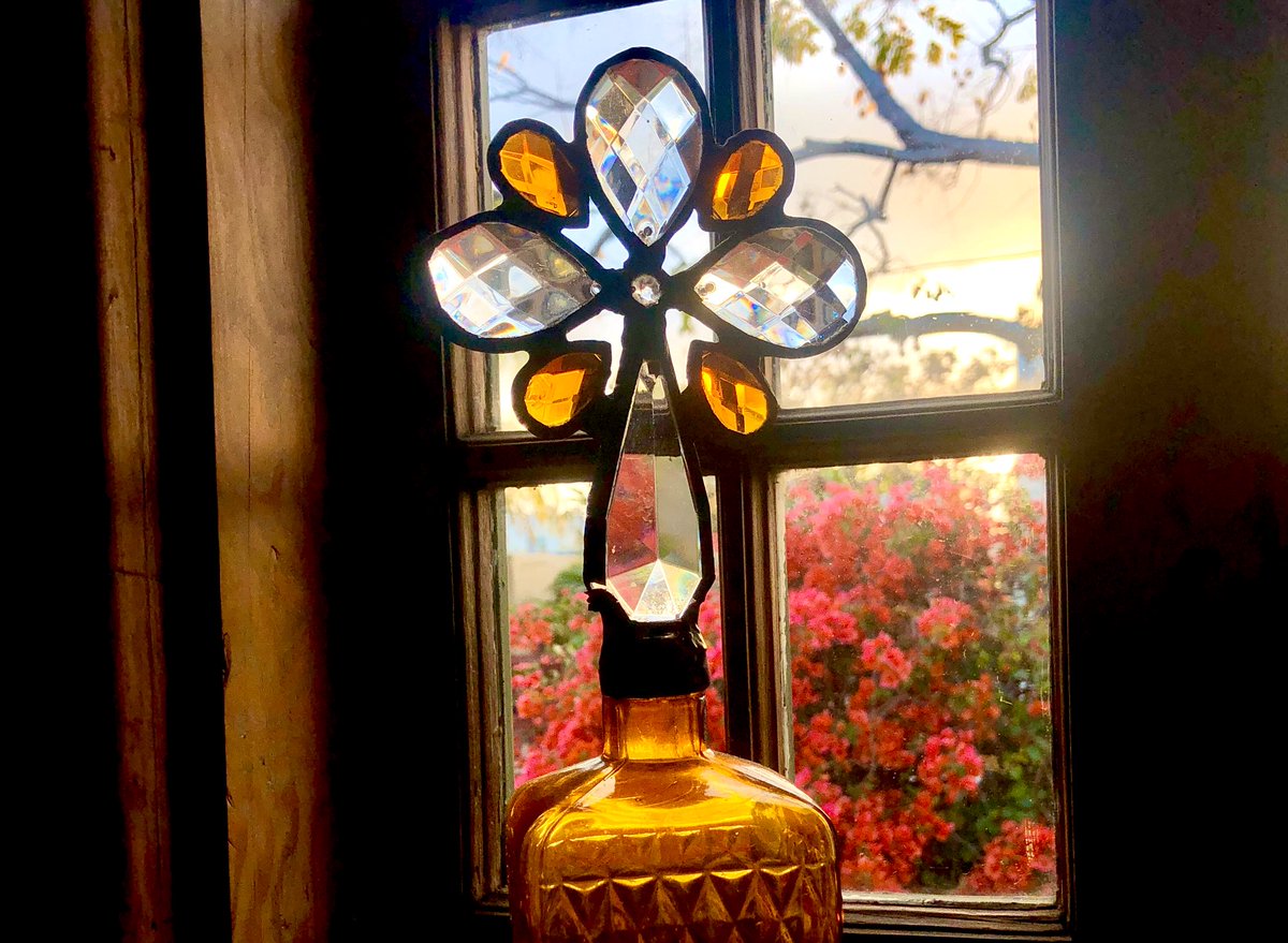 Suzi Day tweet media